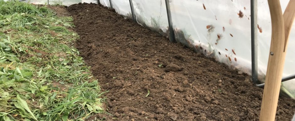 PPR the gardens at els picots 2021