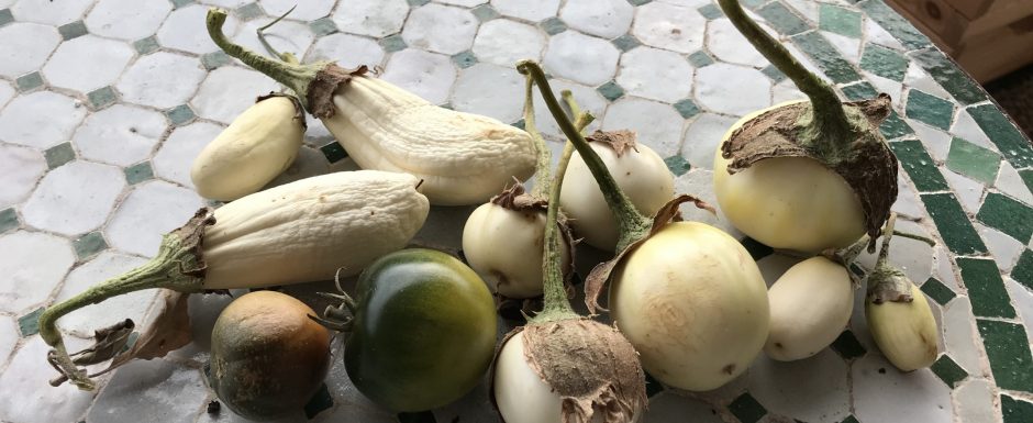 FFF The 2021 Harvest
