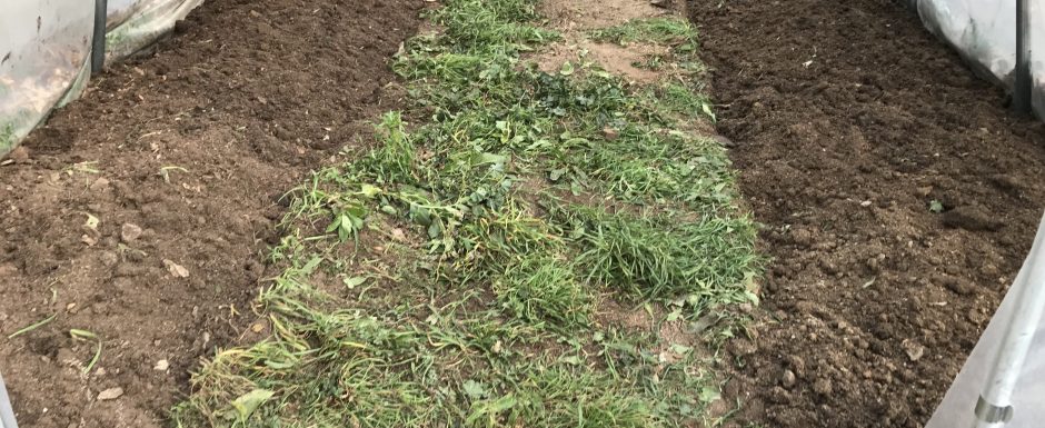 PPS the gardens at els picots 2021