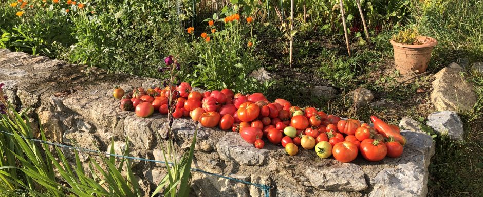 EEE The 2021 Harvest