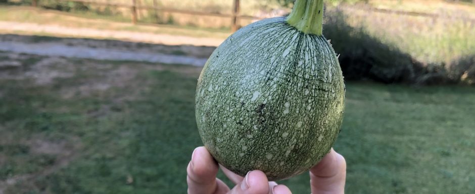 LLM The 2021 Harvest