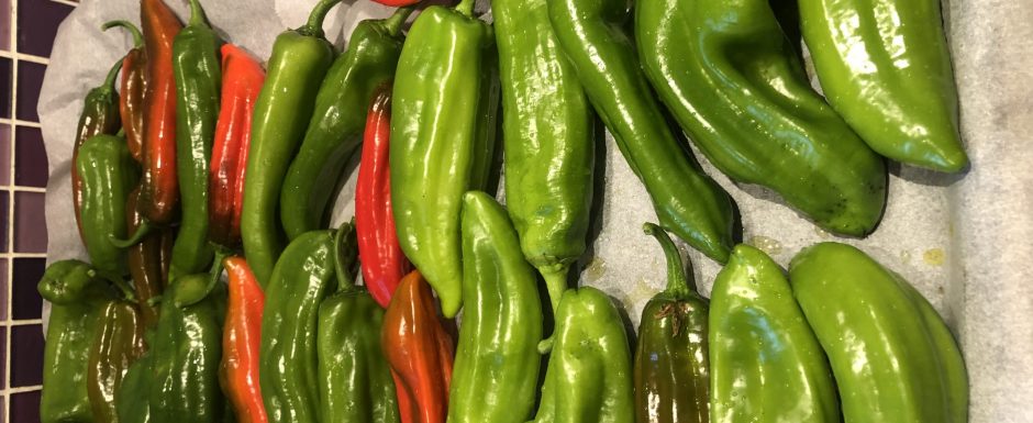 BBB The 2021 Harvest