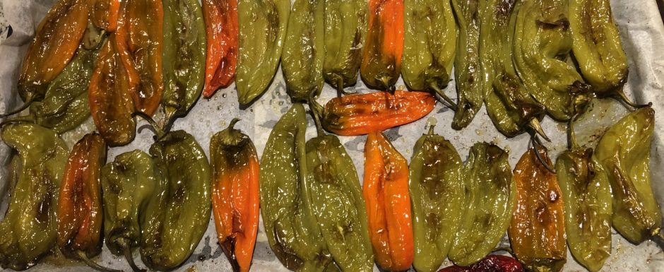 CCC The 2021 Harvest