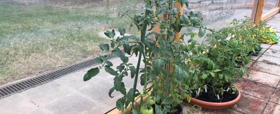 RRR the gardens at els picots 2021