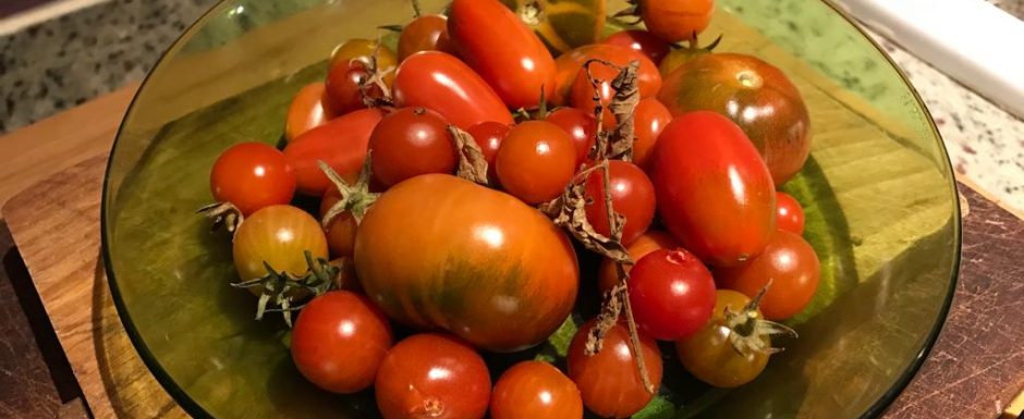 LLL The 2021 Harvest