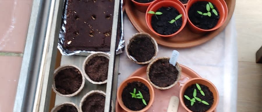 EEE the gardens at els picots 2021